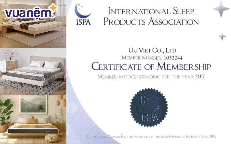 Logo chứng nhận ISPA Hiệp hội Sản phẩm Giấc ngủ Quốc tế trên nhãn nệm