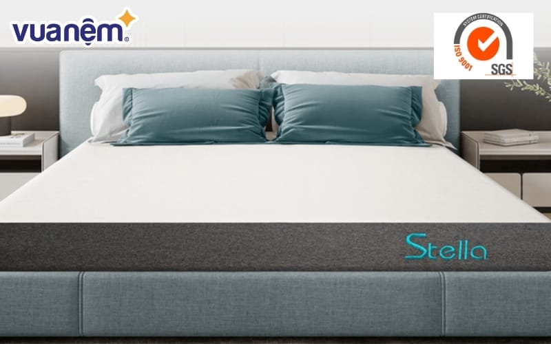 chung nhan sgs la gi 10