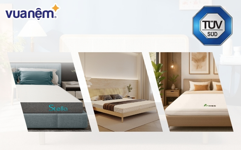 Tại Vua Nệm, nhiều dòng nệm cao su và nệm nhập khẩu đã vượt qua tiêu chuẩn TUV (LGA)