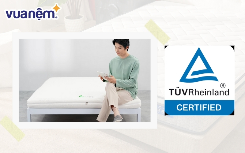 Nệm cao su Gummi 7zones nhập khẩu