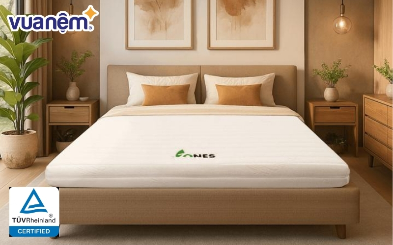 Cách kiểm tra nệm có chứng nhận chuẩn TUV (LGA)