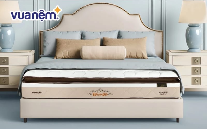 dai ly nem dunlopillo tai binh duong 5