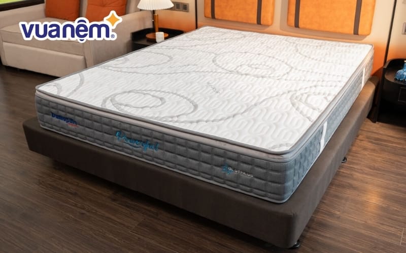 Kinh nghiệm chọn mua nệm Dunlopillo