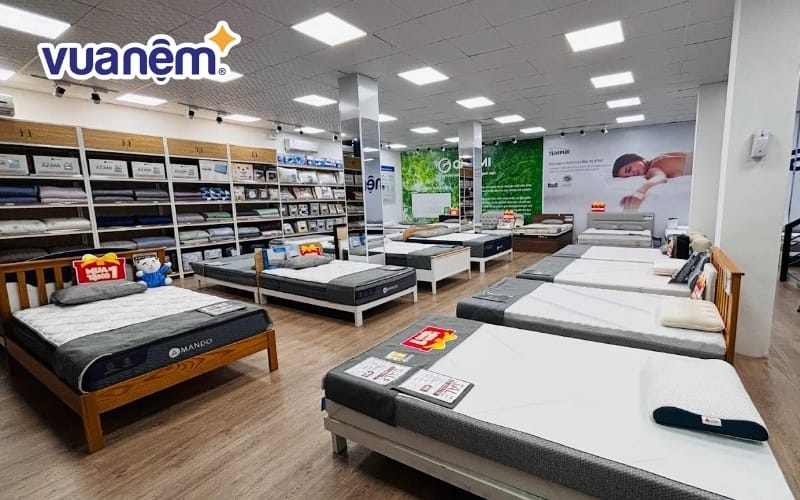 Nằm thử nệm Dunlopillo trực tiếp tại Vua Nệm