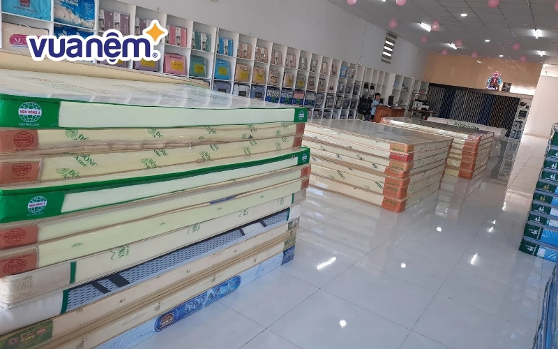 Đại lý nệm Kim Cương Yến Vy tại Bình Phước
