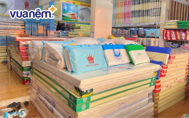 Đại lý nệm Thanh