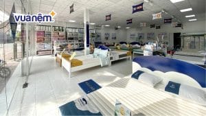 Danh sách các đại lý nệm Kim Cương tại Vĩnh Long chính hãng