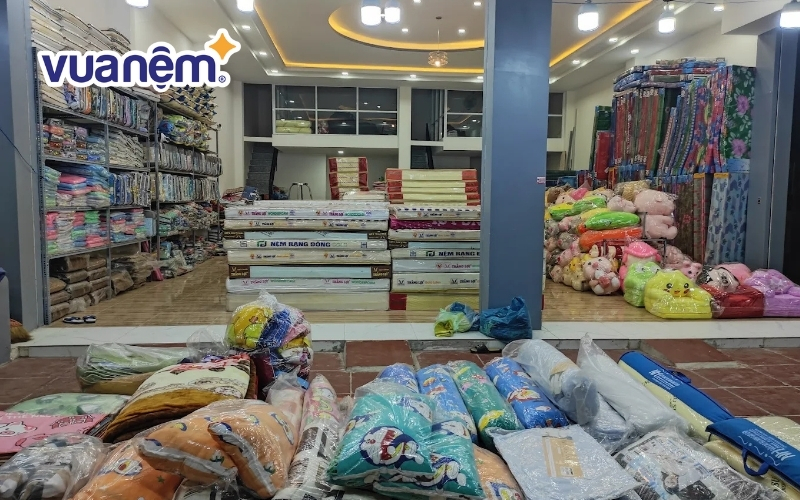 Đại lý nệm Liên Á Ngọc Thông tại Long An