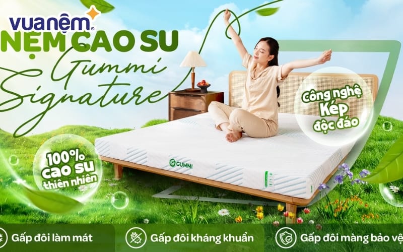 Nệm Gummi Signature
