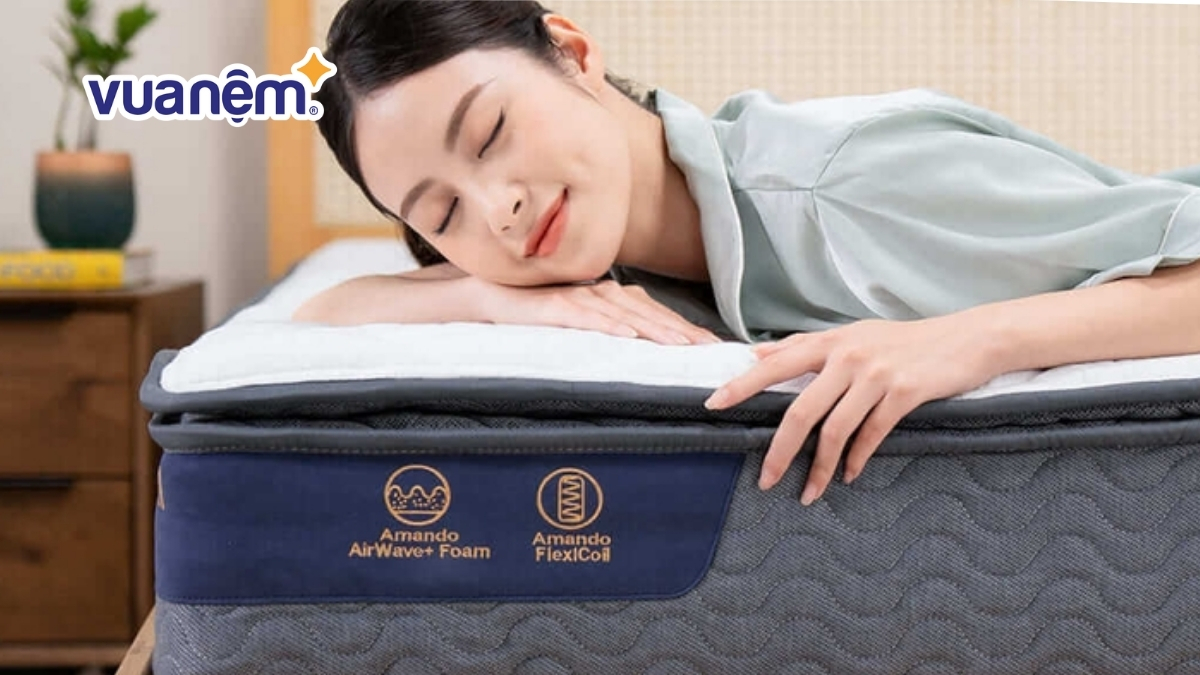 Top 5 nệm phù hợp khí hậu miền Tây giá bình dân, bền đẹp nên mua