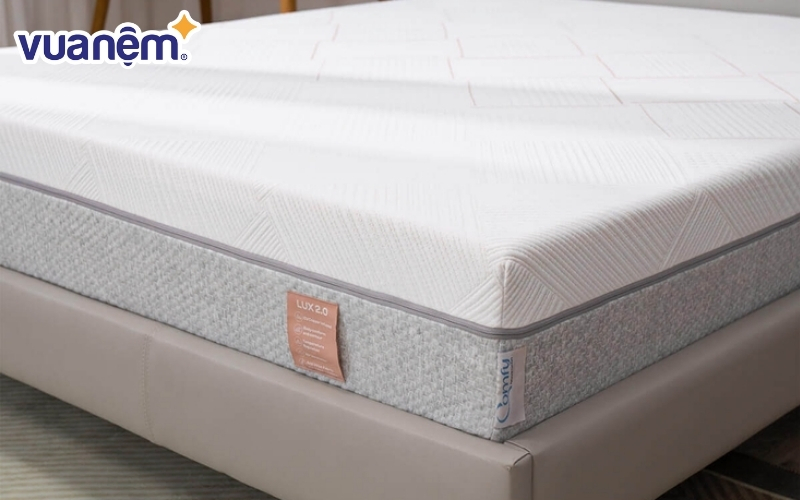 Nệm foam Comfy Lux 2.0