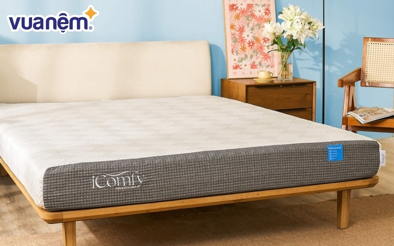 Nệm foam iComfy Coolax Plus