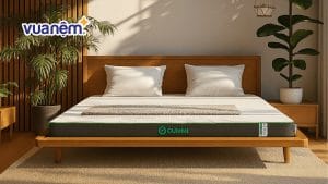 Review nệm cao su Gummi Premium có tốt không?