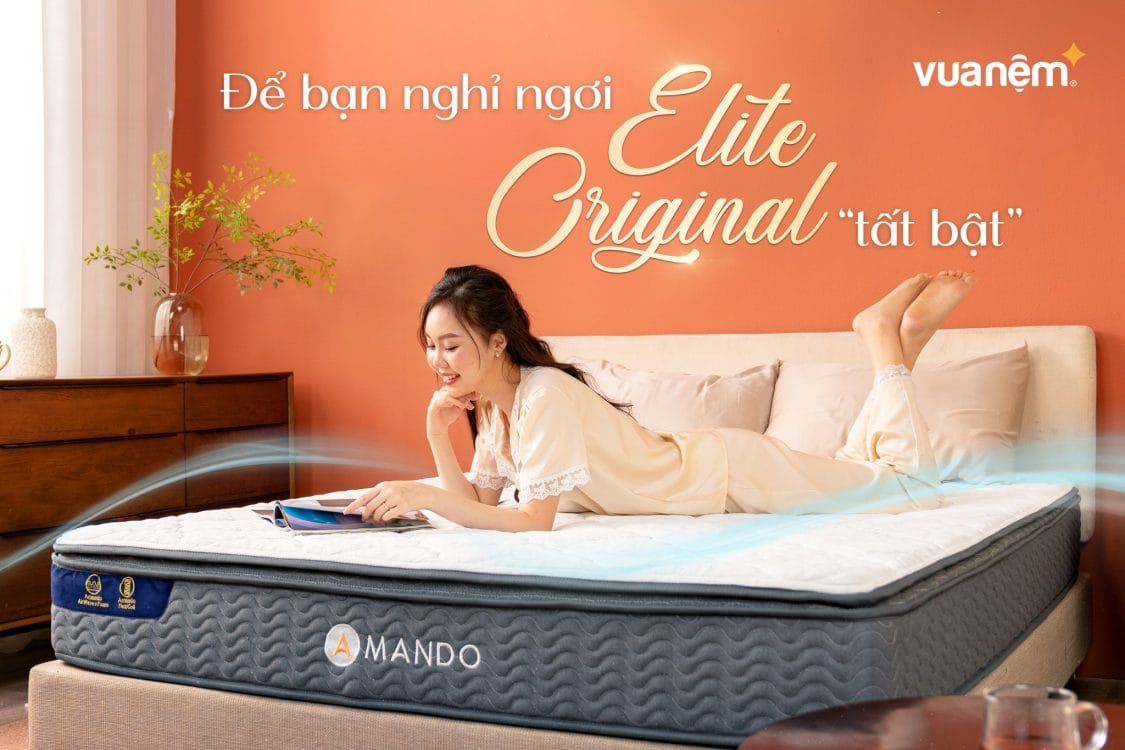 Giá nệm lò xo Amando Elite Original