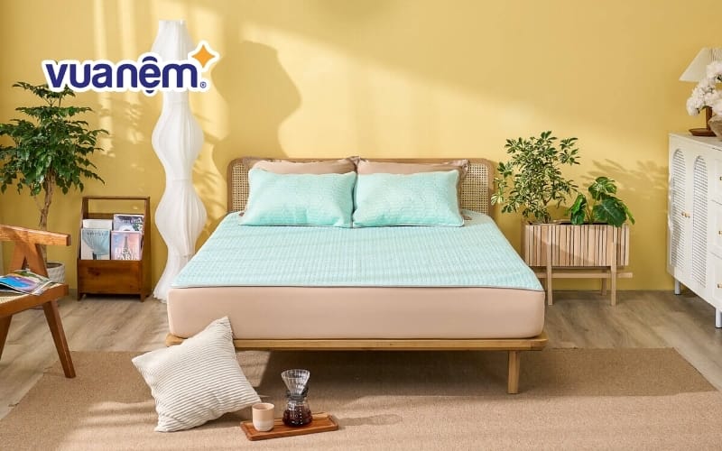 Thảm trải giường cao su Doona Aqua