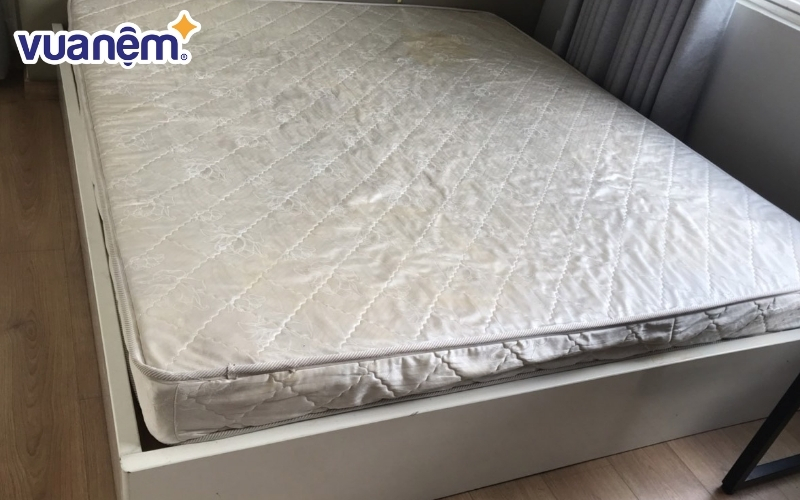 Vì sao cần thanh lý nệm cũ khi có dấu hiệu nấm mốc, xẹp lún?