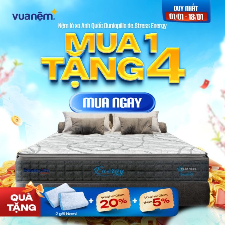 Nệm lò xo Anh Quốc Dunlopillo de.Stress Energy