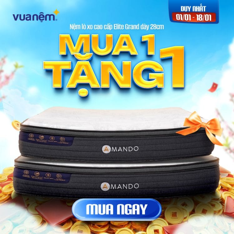 Mua 1 tặng 1 nệm Amando Elite Grand