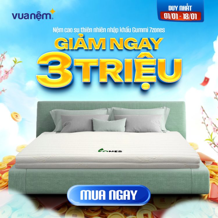 Nệm cao su thiên nhiên nhập khẩu Gummi 7zones giảm 4 triệu