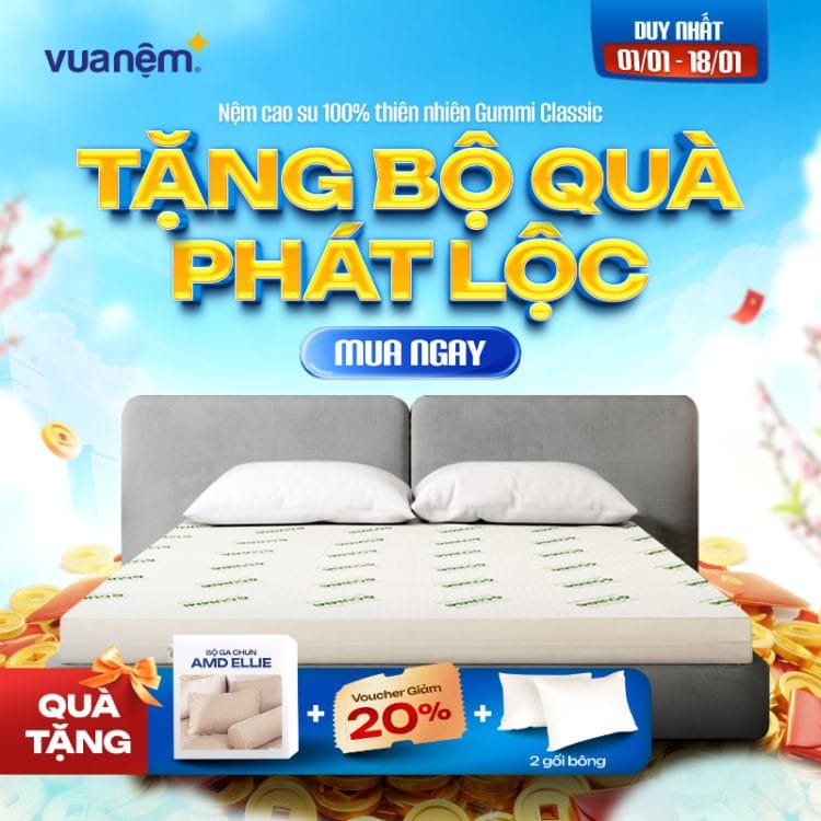 Nệm cao su 100% thiên nhiên Gummi Classic