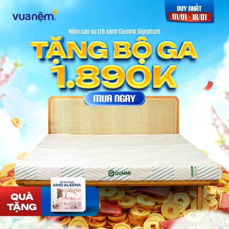 Nệm cao su trà xanh Gummi Signature