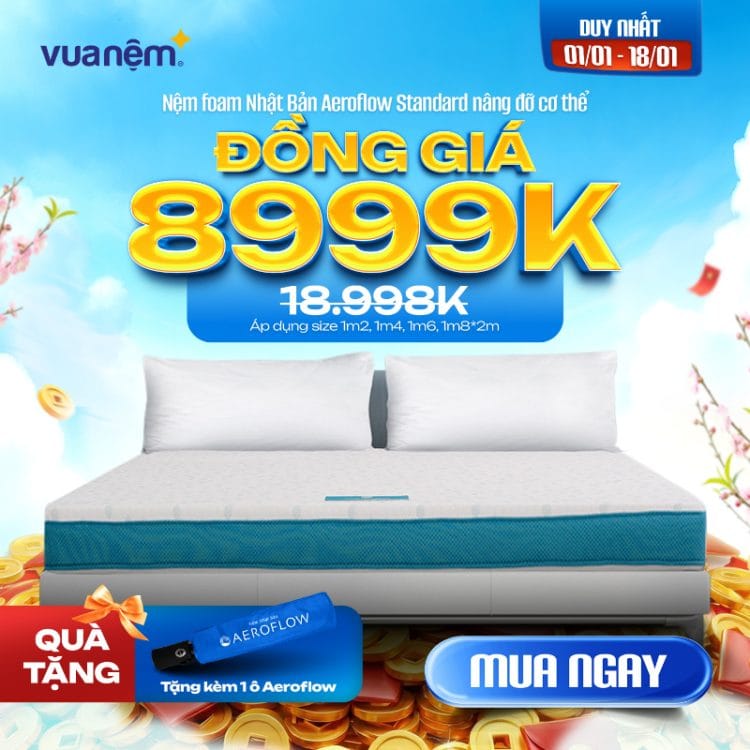 Nệm foam Nhật Bản Aeroflow Standard nâng đỡ cơ thể