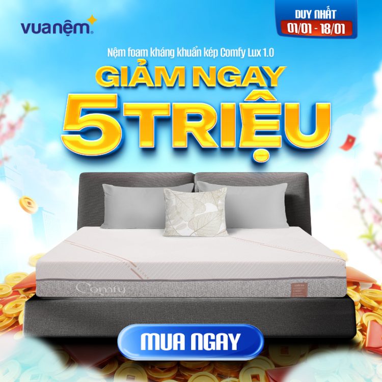Nệm foam kháng khuẩn kép Comfy Lux 1.0 sale 5 triệu