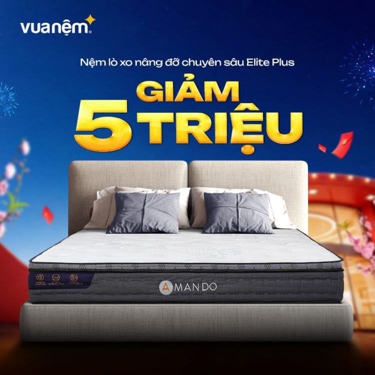 Nệm lò xo nâng đỡ chuyên sâu Amando Elite Plus giảm 5 triệu