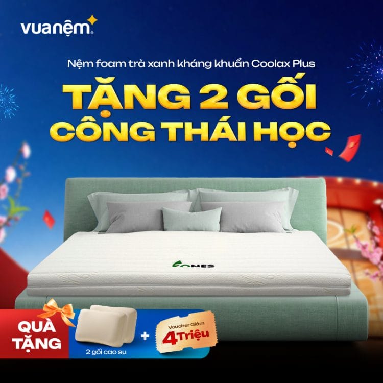 Nệm cao su thiên nhiên Gummi 7zones