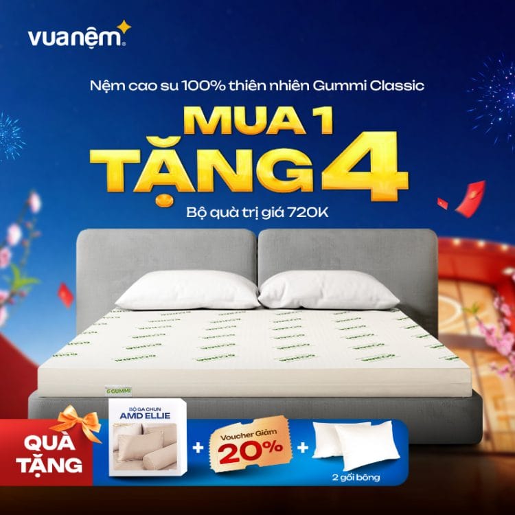 Nệm cao su 100% thiên nhiên Gummi Classic mua 1 tặng 4