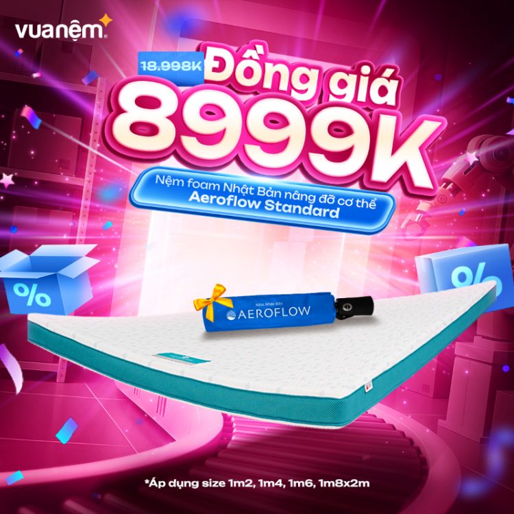 Nệm foam Nhật Bản Aeroflow Standard
