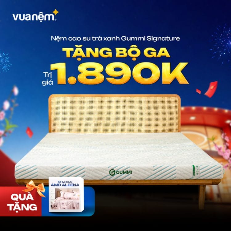 Nệm cao su trà xanh Gummi Signature