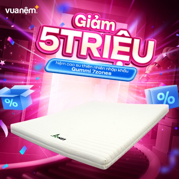 Nệm cao su thiên nhiên nhập khẩu Gummi 7zones