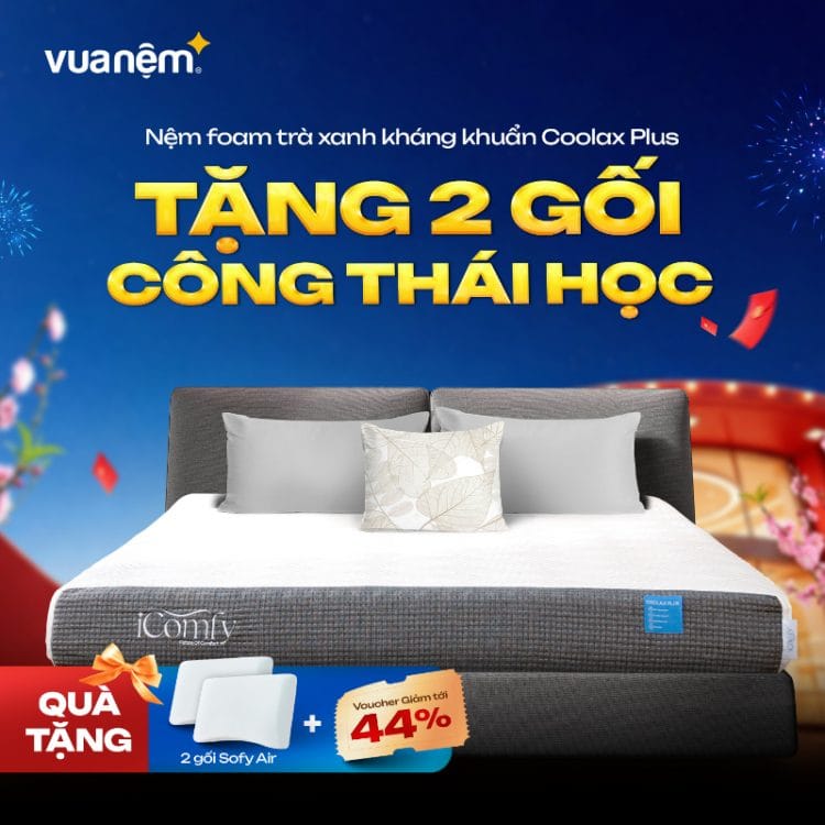 Nệm foam iComfy Coolax Plus