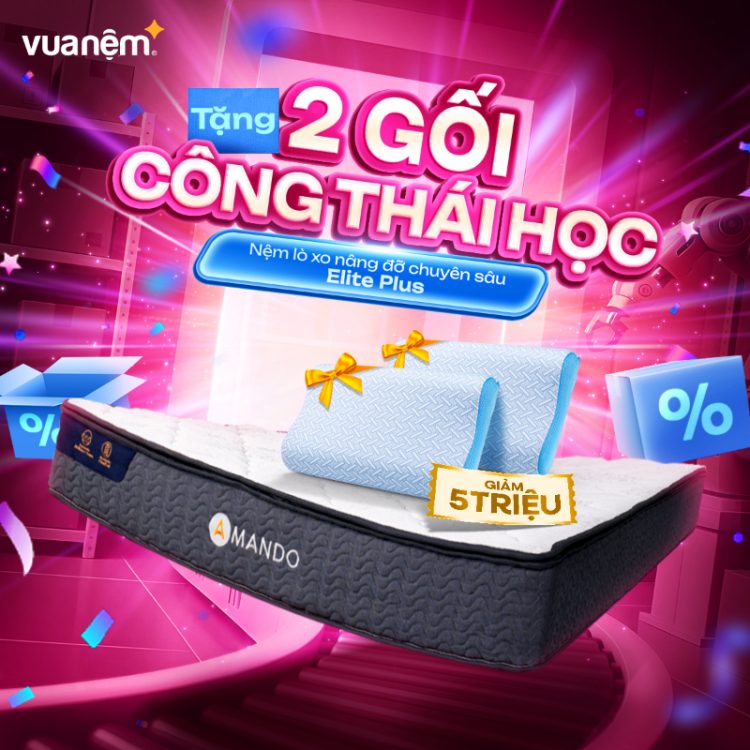 Nệm lò xo nâng đỡ chuyên sâu Amando Elite Plus