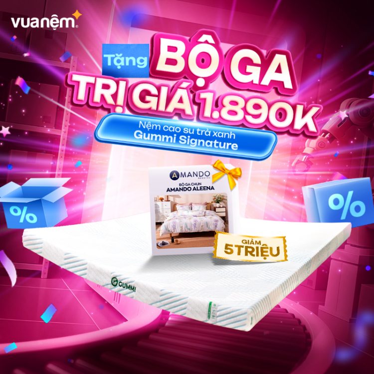 Nệm cao su trà xanh Gummi Signature