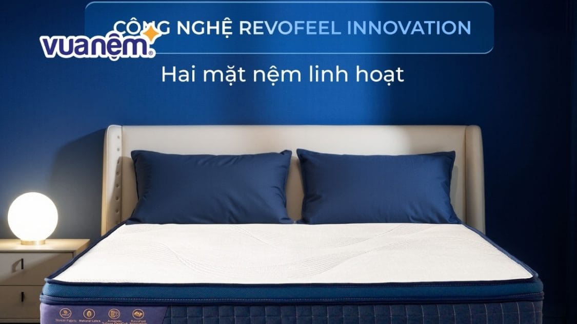 Đánh giá nệm lò xo Amando Innovation: Cấu trúc 7 vùng có tốt không?