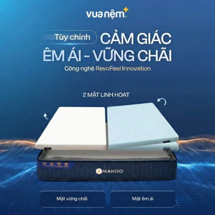 Nệm lò xo Amando Innovation nâng đỡ tối ưu