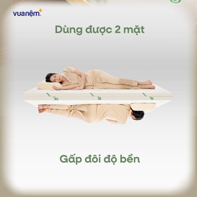 Nệm cao su giảm đau lưng Gummi Lite 