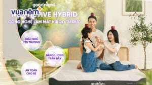 Nệm foam Goodnight Active Hybrid có thực sự tốt như lời đồn? Đánh giá chi tiết