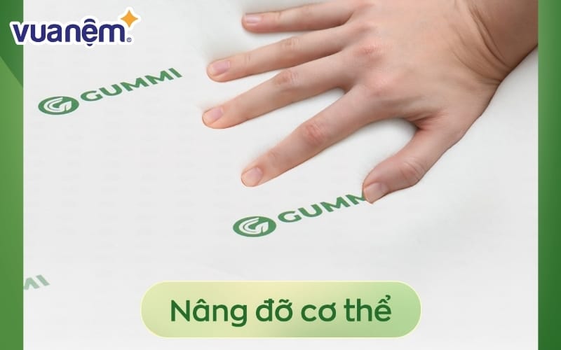 review nem cao su gummi lite 7