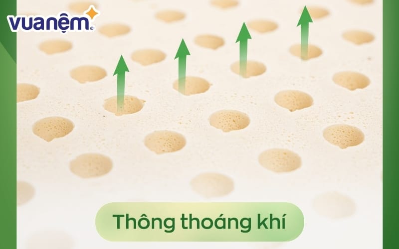 Cấu tạo 6000 lỗ thoáng khí