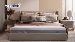 Nệm Comfy Cloud 3.0: Nâng đỡ đa điểm cho người hay đau lưng