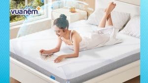 Nệm Comfy Cloud 3.0: Nâng đỡ đa điểm cho người hay đau lưng