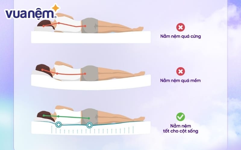 Công nghệ Hybrid Latex giúp nâng đỡ, phân bổ lực tốt hơn