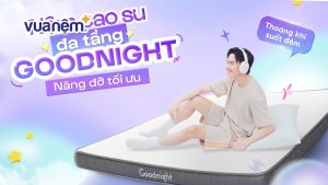 Nệm Goodnight Latex Hybrid (Rena) có đáng tiền không? Review chi tiết