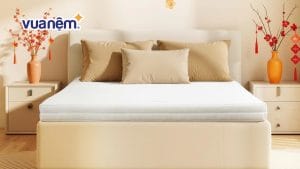 Nệm Comfy Cloud 3.0: Nâng đỡ đa điểm cho người hay đau lưng