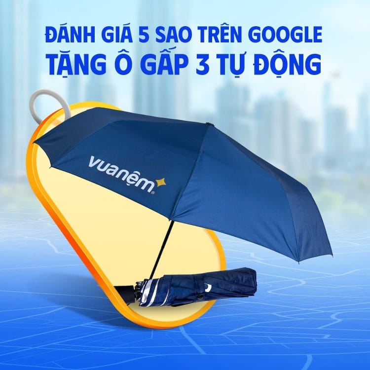 Đánh giá Google