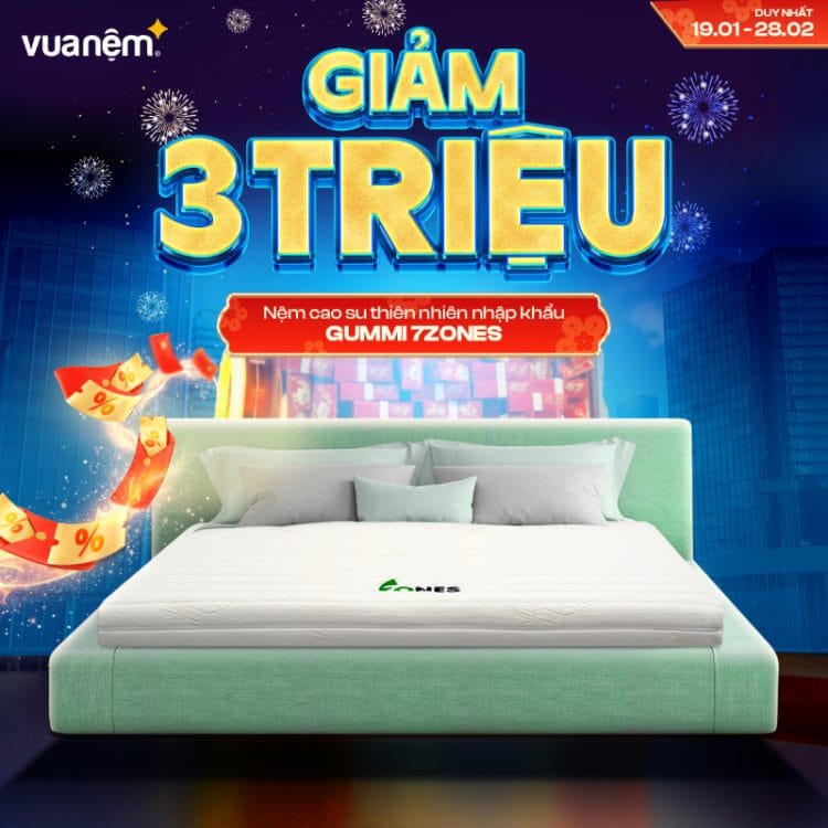 Nệm cao su thiên nhiên nhập khẩu Gummi 7zones