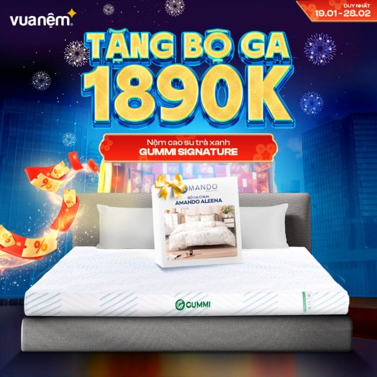 Nệm cao su trà xanh Gummi Signature